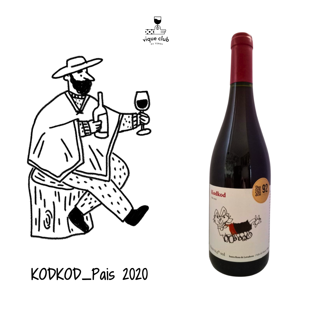 País,2020, Viña Kodkod