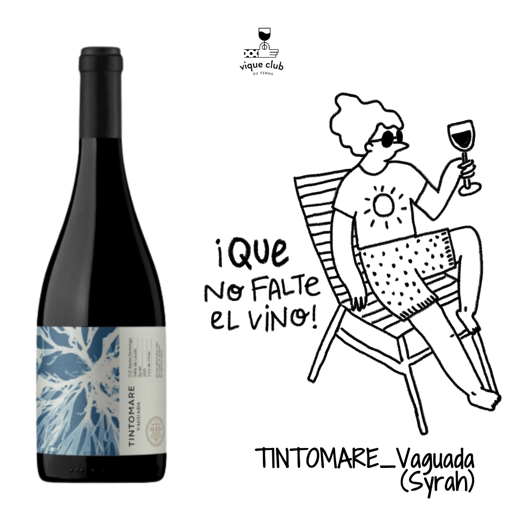Syrah, Vaguada, Viña Tintomare