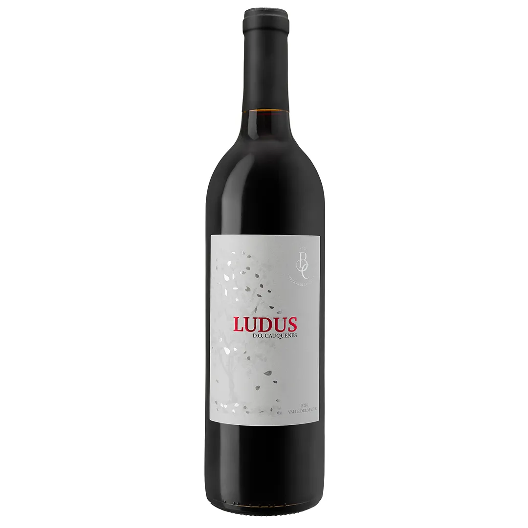 Ensamblaje,Ludus,Barricas de Cauquenes 👉Socios $11.990