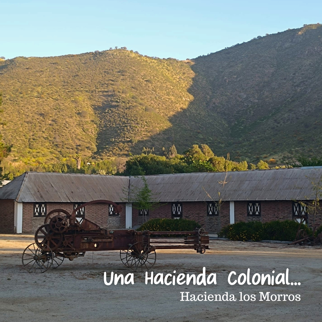 Día de Campo en OWE -Segunda Preventa