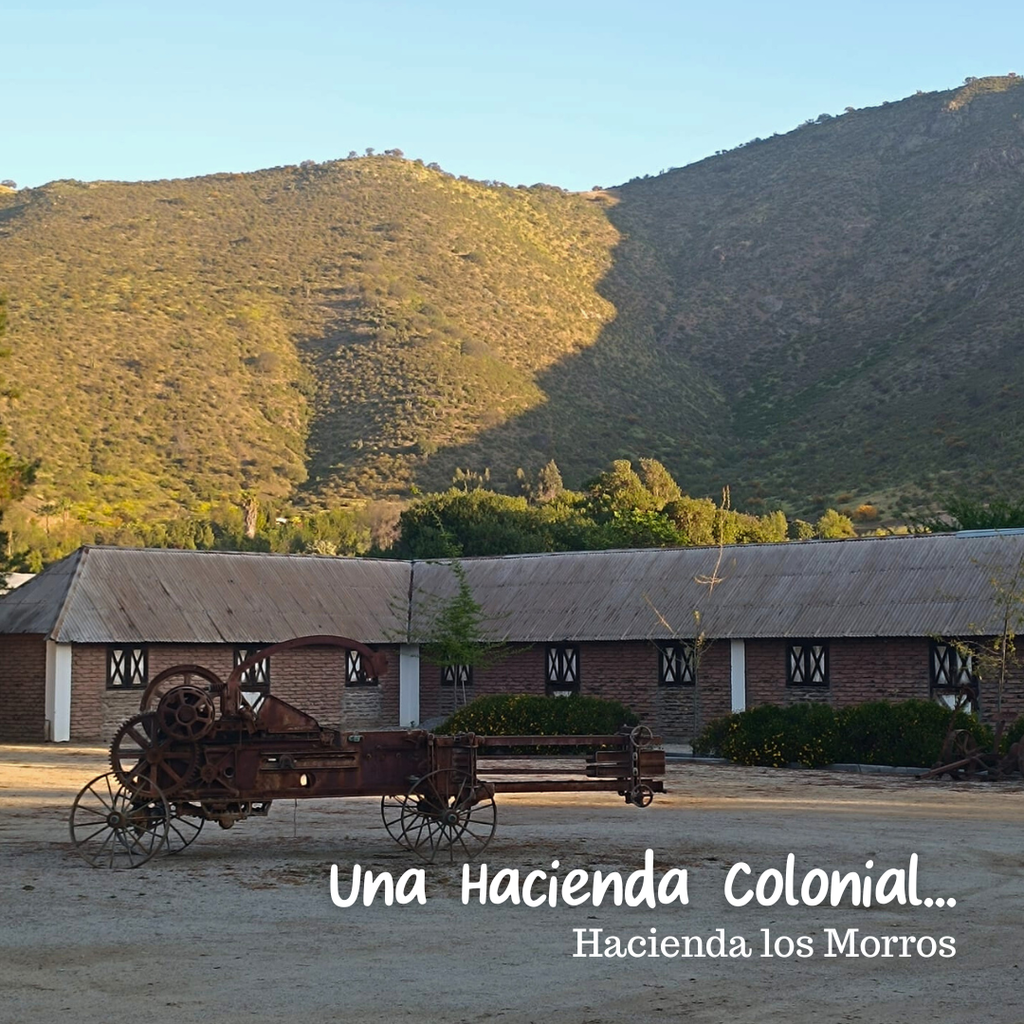 Día de Campo en OWE -Socios