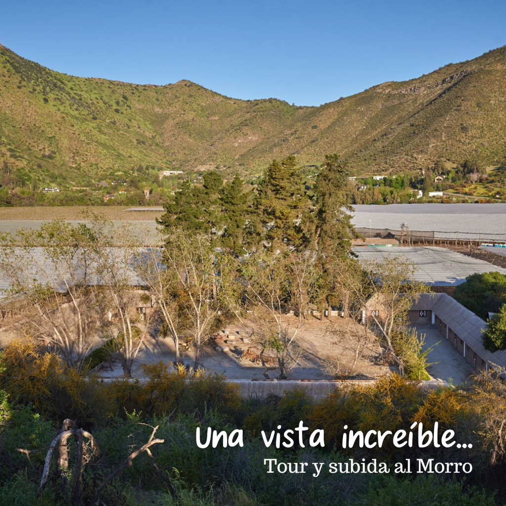 Día de Campo en OWE -Socios