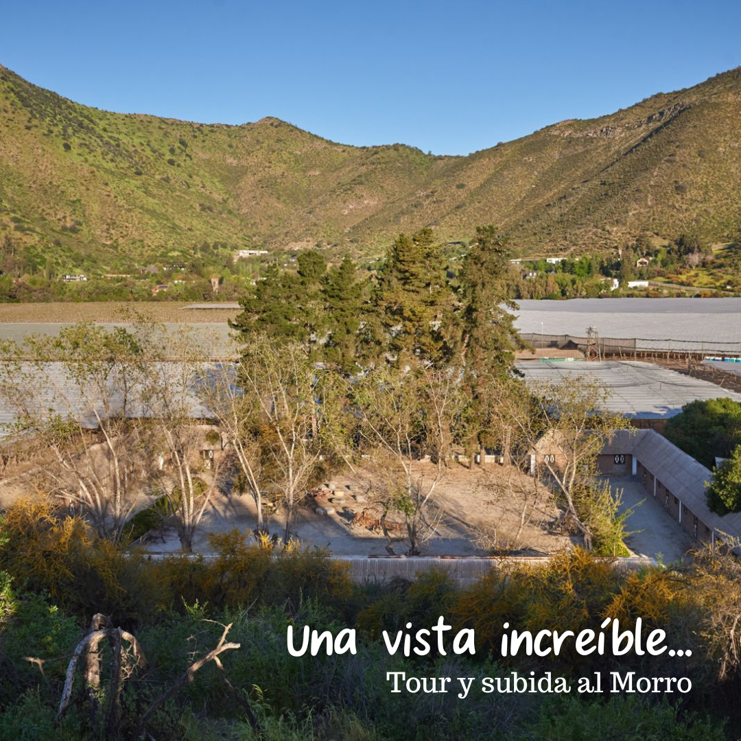 Día de Campo en OWE -Socios