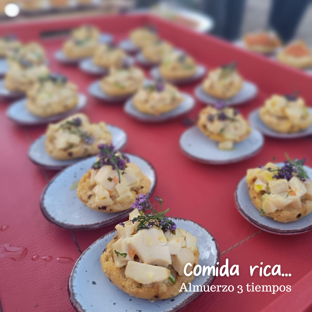 Día de Campo en OWE -Socios