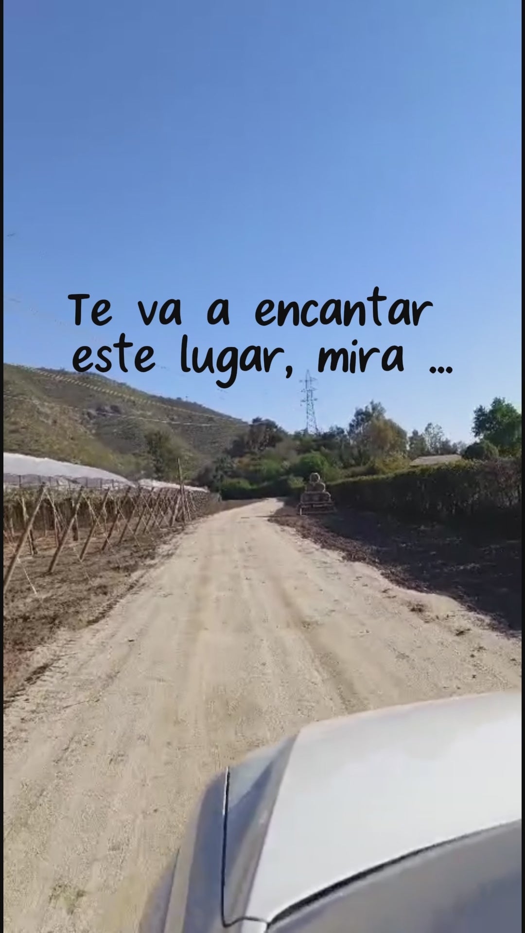 Día de Campo en OWE -Segunda Preventa