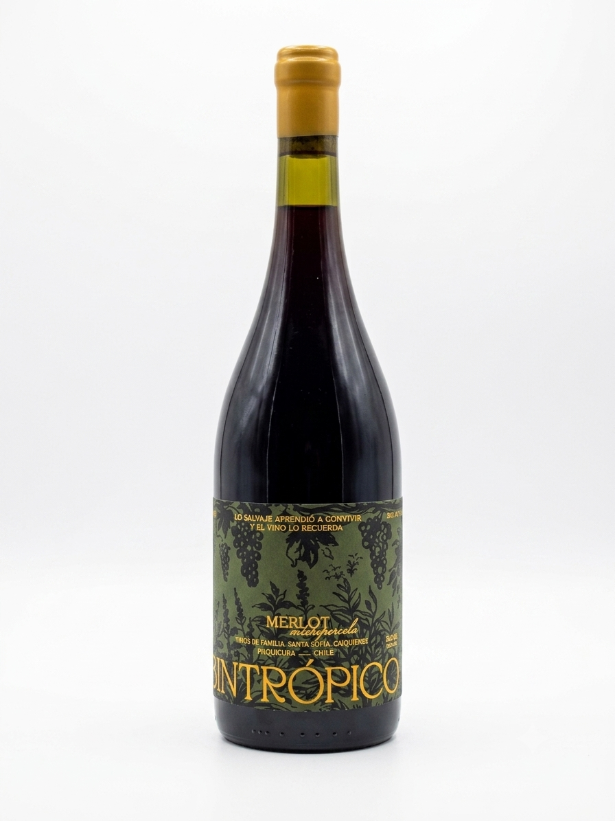 Merlot, Sintrópico, Viñedos Pilquicura