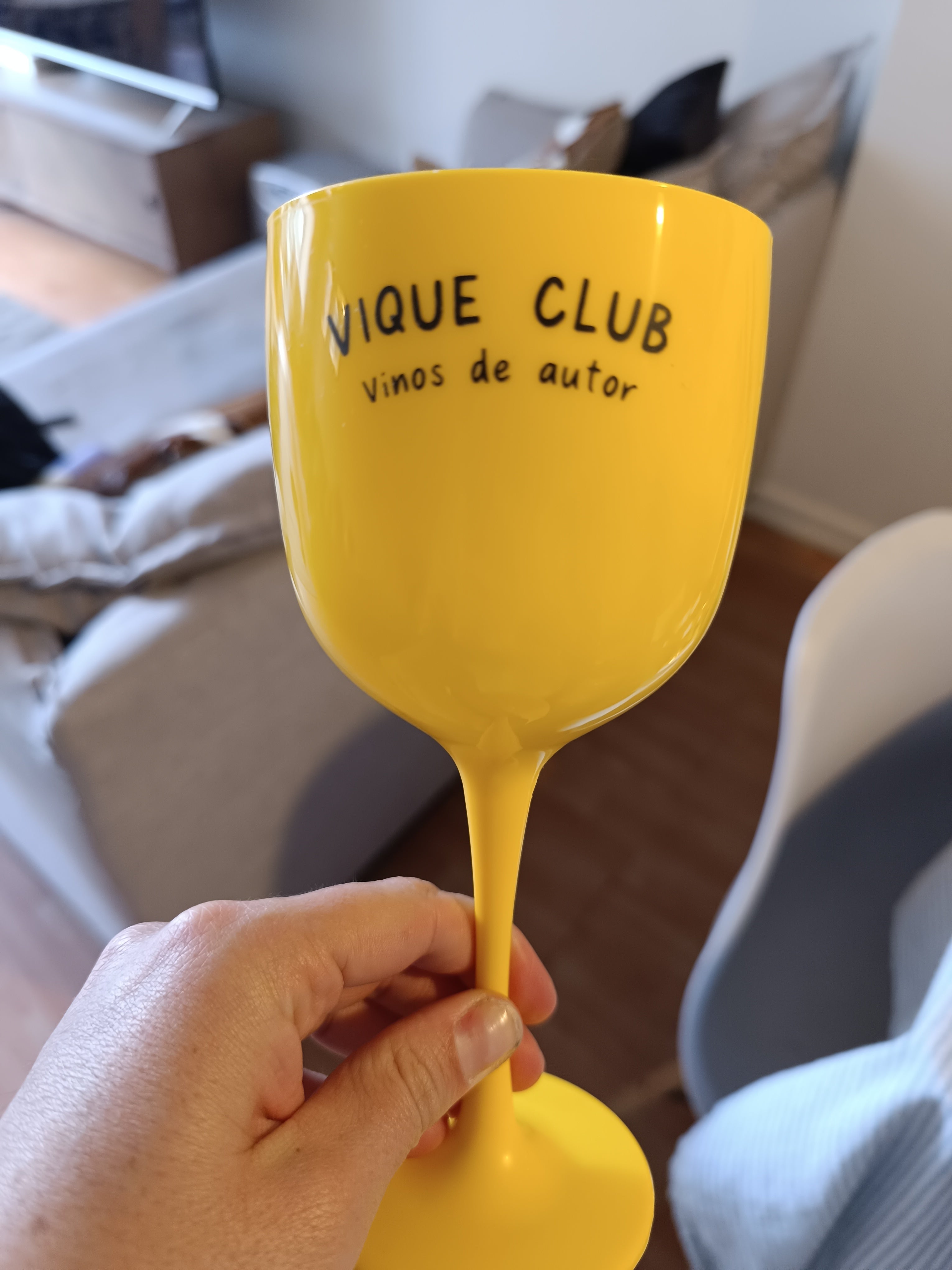 Copa Vique