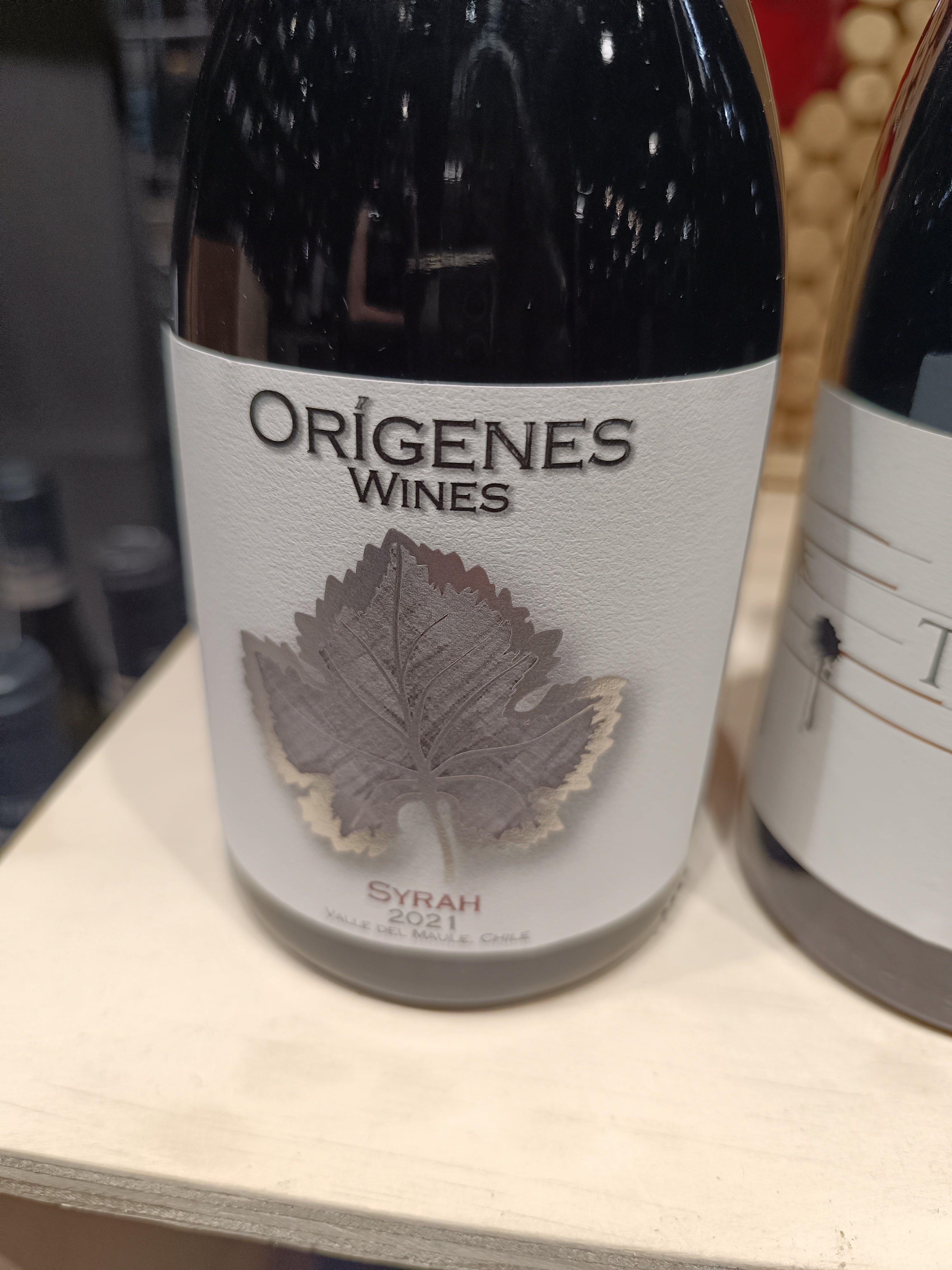 Syrah, 2021, orígenes