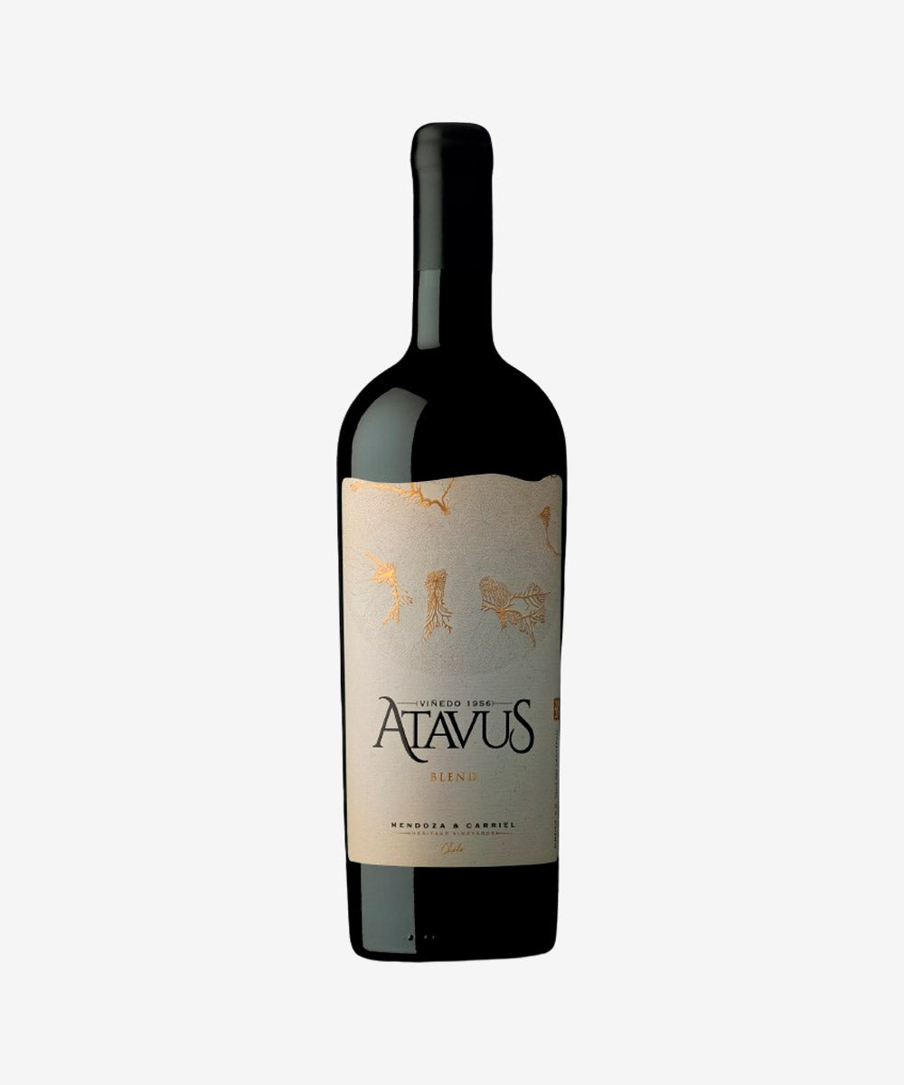 Blend, Atavus, Mendoza & Carriel