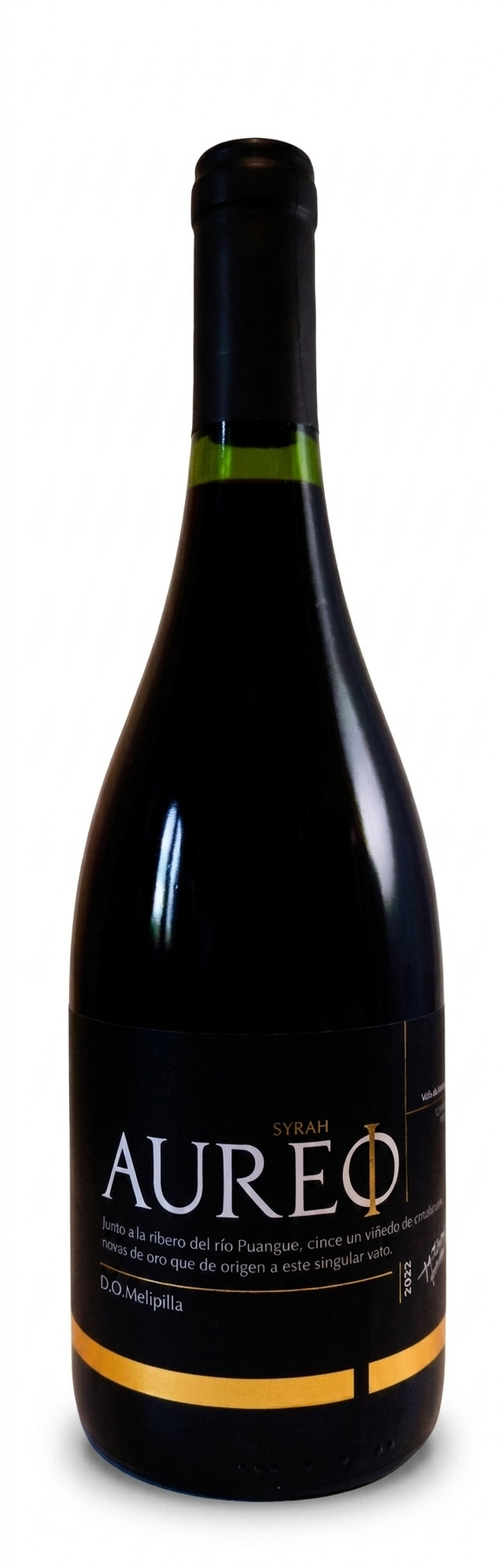 Syrah, aureo, viñateros de raíz