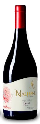 Syrah, Barricas de Cauquenes