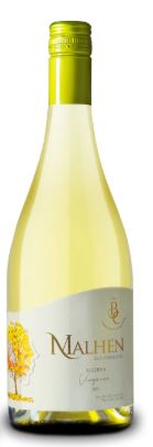 Viognier, Barricas de Cauquenes